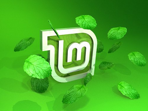 Linux Mint 10 Julia [i386 + x86_64] (2xDVD)